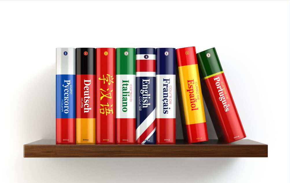 Vertical pen holder -  Italia